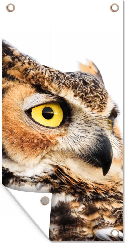 MuchoWow 80x160 cm Outdoor-Poster Gartendeko Sichtschutz Garten Poster für den Garten Braune Eule mit weißem Hintergrund