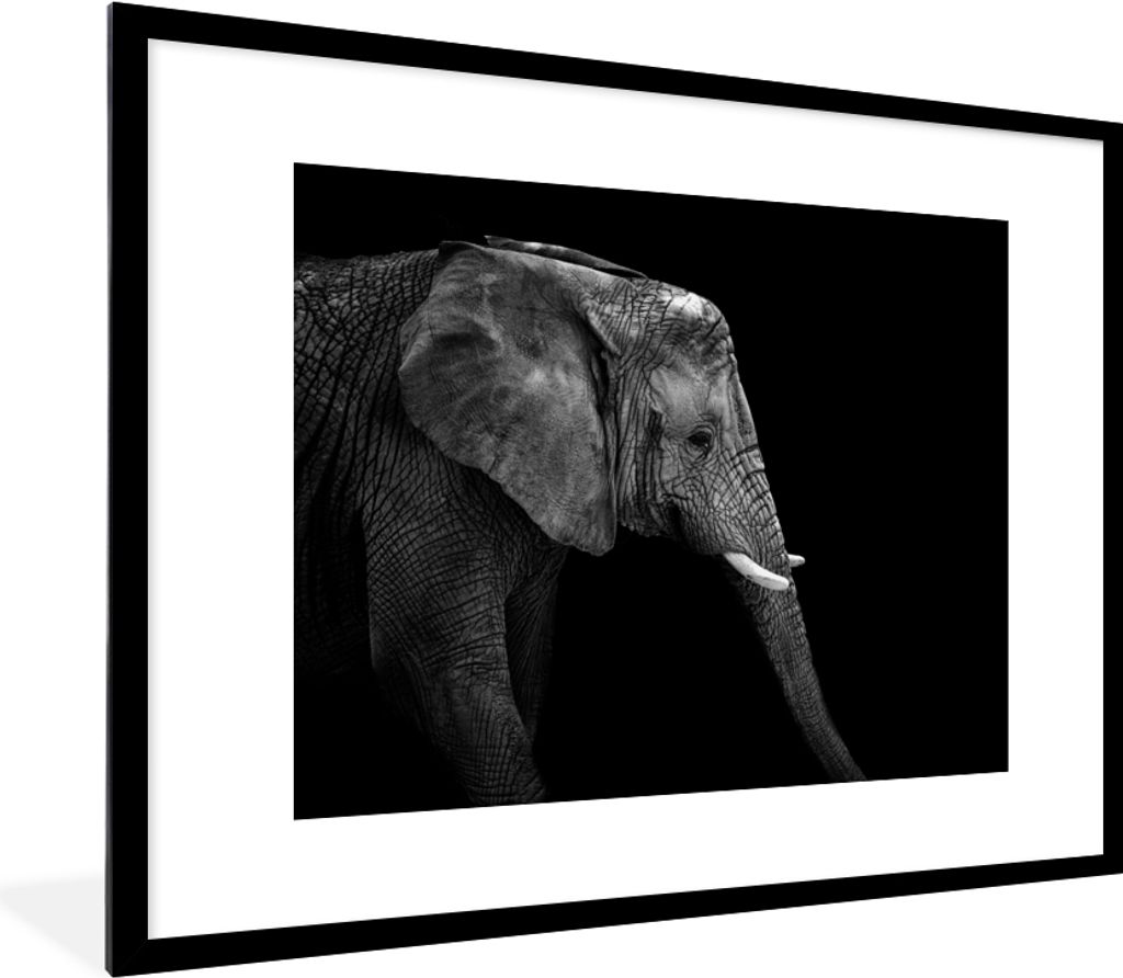MuchoWow Gerahmtes Poster Elefant - Schwarz und weiß - Porträt - Tiere 80x60 cm - Poster mit Schwarzem Bilderrahmen Wandposter Rahmen Foto Bild...