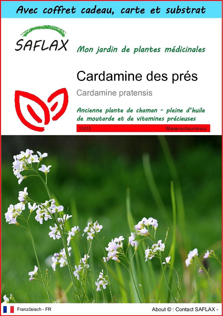 SAFLAX Ensemble-cadeau - Cardamine des prés - 100 graines - Image du produit 