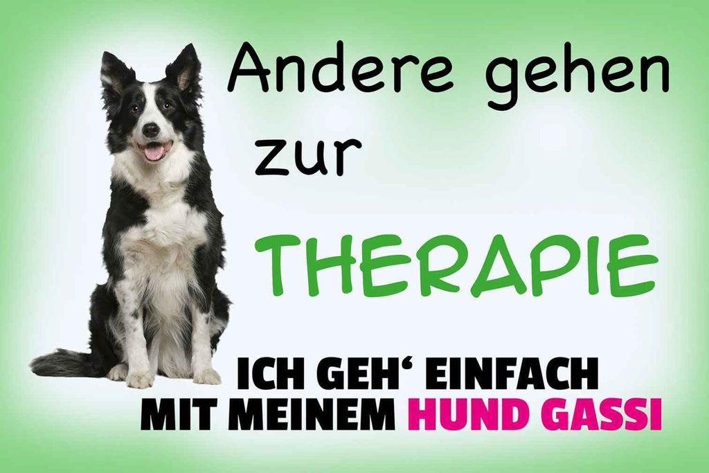 vianmo Holzschild 12x18 cm ich geh' mit meinem Hund Gassi Tier Haustier