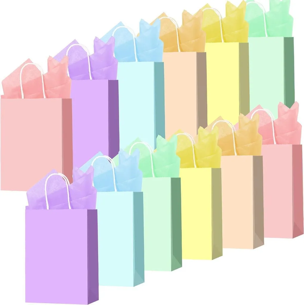 12 Sacs Cadeaux Arc-en-Ciel en Papier avec Papier de Soie Multicolore