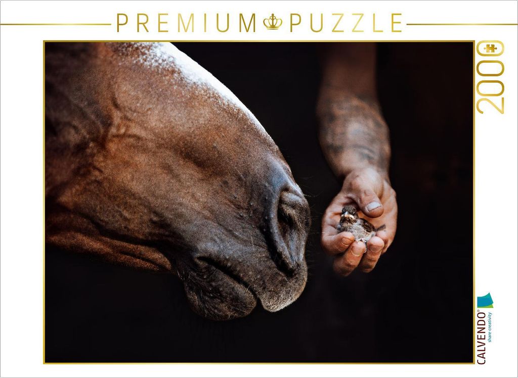 CALVENDO Puzzle Pferdemaul küsst Vogelbaby | 2000 Teile Lege-Größe 90x67cm Foto-Puzzle für glückliche Stunden