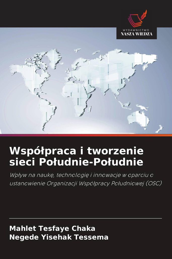 Wspó¿praca i tworzenie sieci Po¿udnie-Po¿udnie
