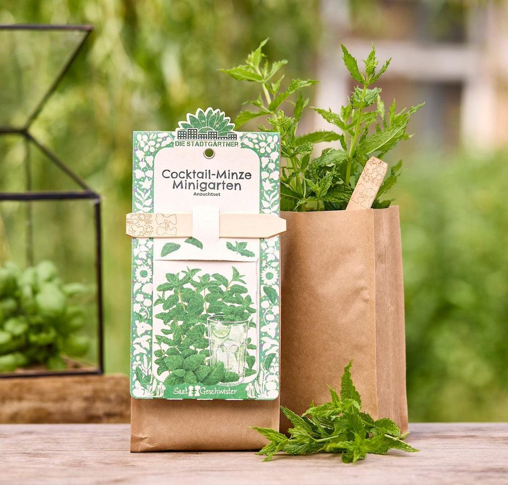 Anzuchtset Minigarten Cocktail Minze – Saatgut-Set mit Anzuchterde & Pflanzstäbchen – Mojitominze selber ziehen – Geschenkidee für Gartenfr...