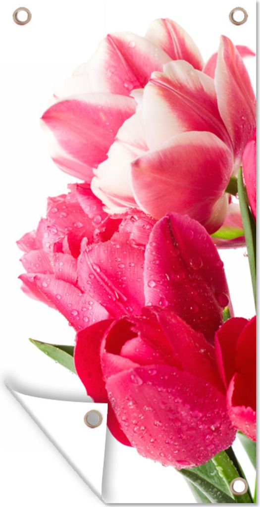 MuchoWow 80x160 cm Outdoor-Poster Gartendeko Sichtschutz Garten Poster für den Garten Rosa Tulpen