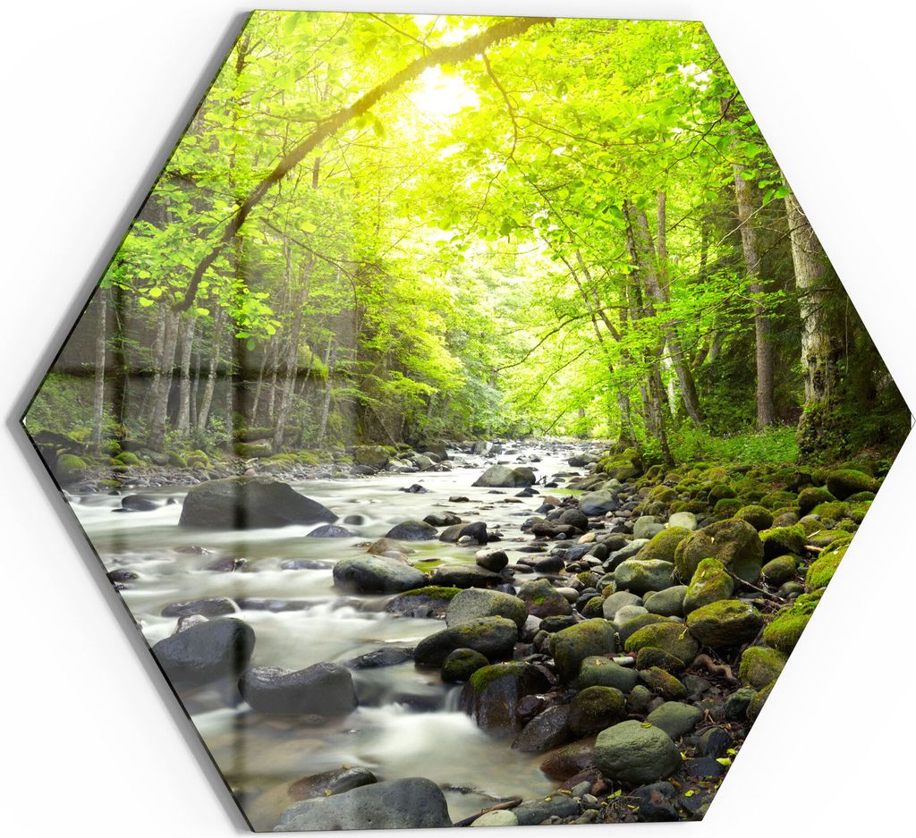 DEQORI Glasbild Echtglas 40x35 cm 'Steiniges Flussbett' Wandbild Bild modern Deko