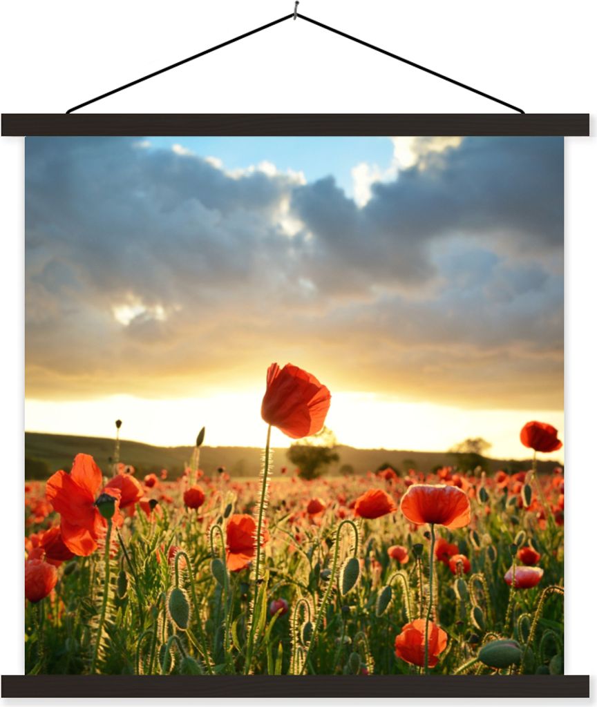 MuchoWow Textilposter Bunter Himmel über vielen Mohnblumen 60x60 cm mit schwarzem Rahmen - Posteraufhänger