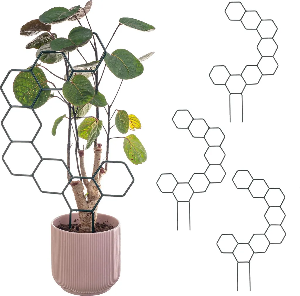 Soutenir vos plantes d'intérieur avec le support hexagonal KADAX x3 vert