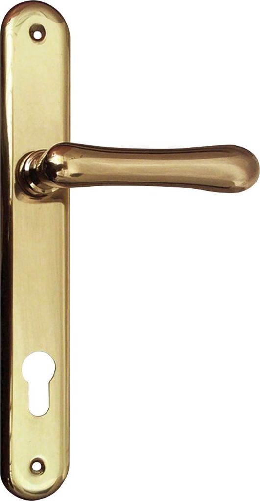 Türbeschlag Elegant 22 | Türgriff für Haustür auf Langschild PZ 88 | Messing poliert