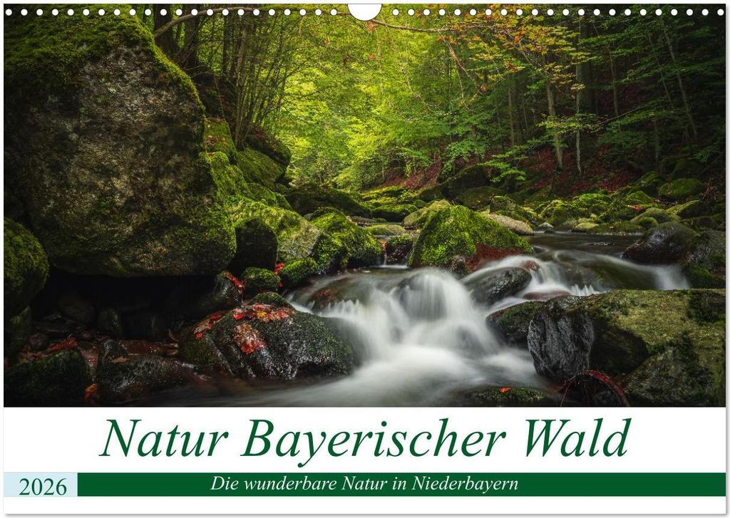 Natur Bayerischer Wald (Wandkalender 2026 DIN A3 quer), CALVENDO Monatskalender