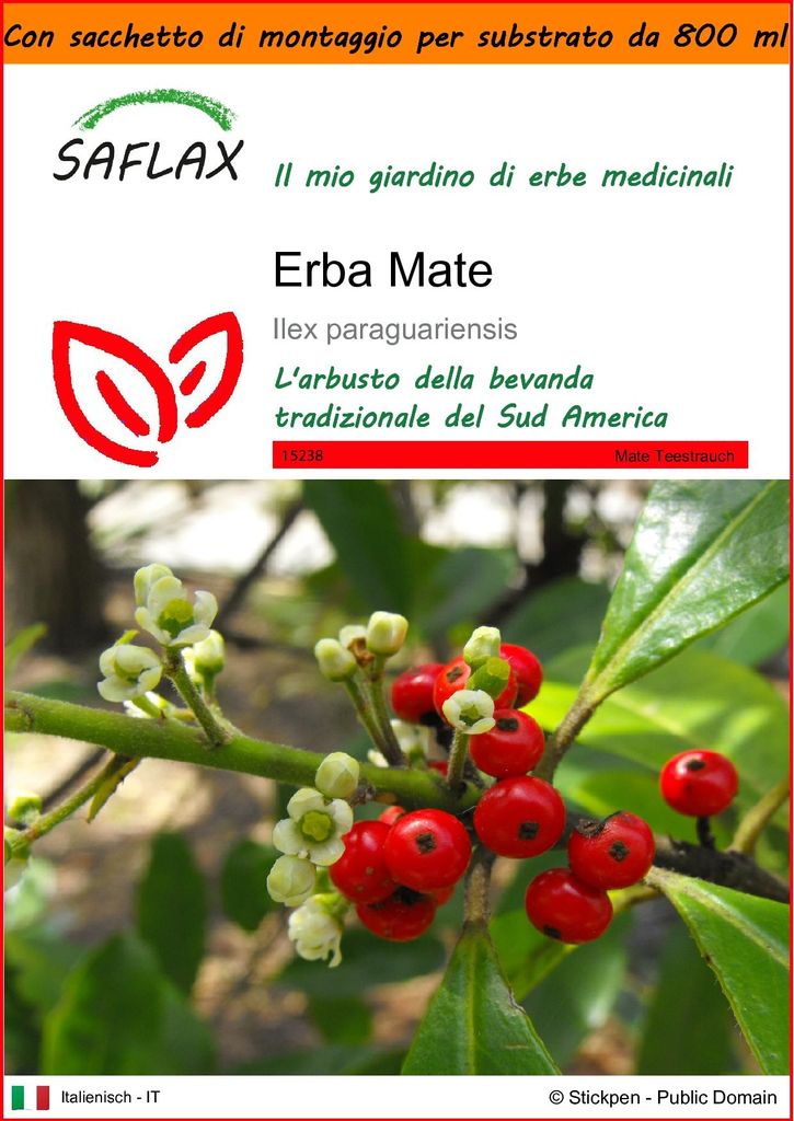 SAFLAX Garden in the bag - Erba Mate - 10 semi - Ilex Immagine del prodotto 