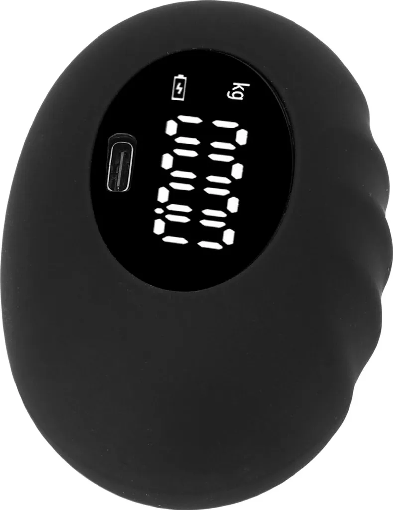 Dynamomètre Manuel Électronique 180kg Rechargeable - Testeur de Force