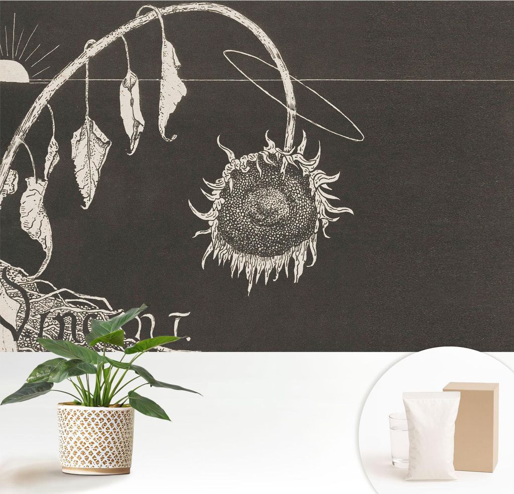 Fototapete - 152x104 cm - Tapete - Wandtapete - Wandbilder - Dekofolie - Tapete Folie - Wand - Dekoration - Wohnzimmer - Nostalgische Sonnenblume