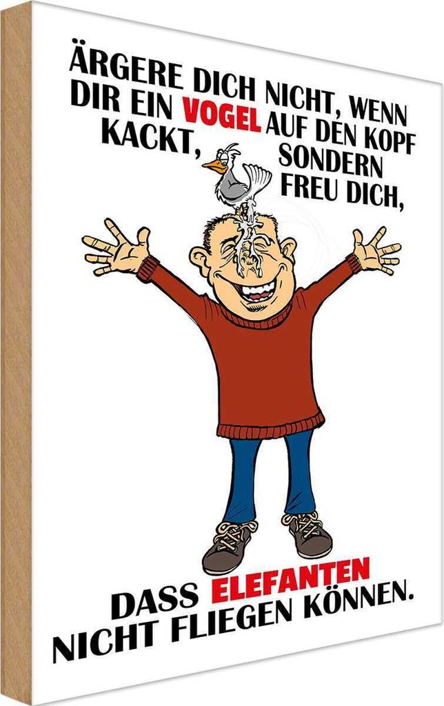 vianmo Holzschild 18x12 cm ärgere dich nicht wenn ein Vogel