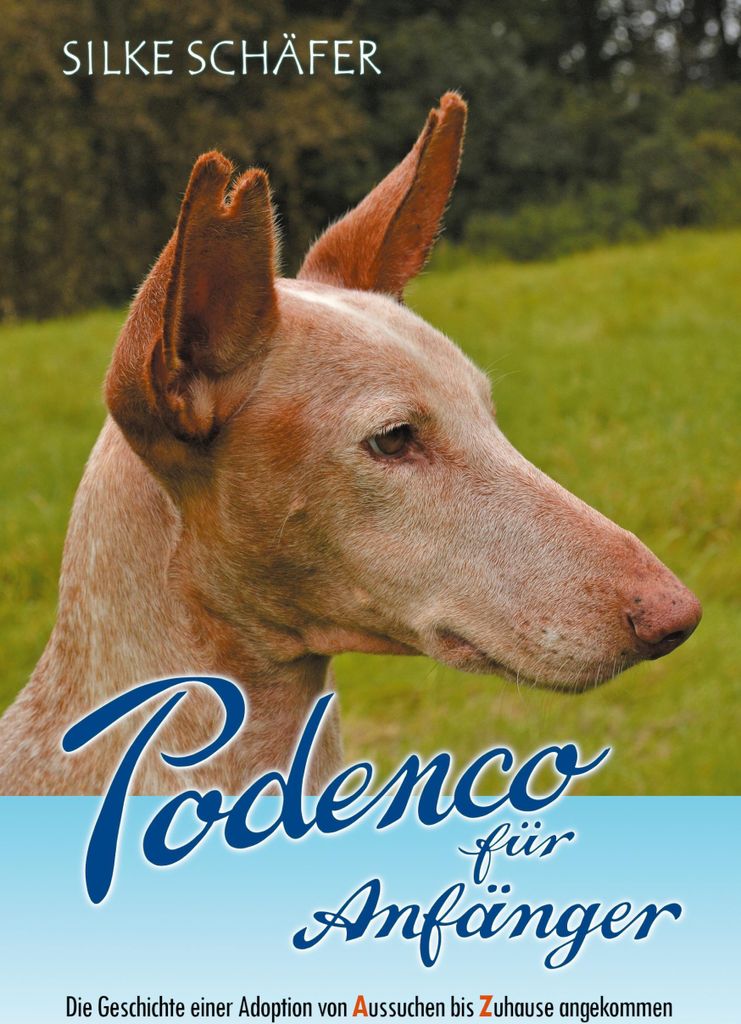 Podenco für Anfänger, Deutsch, Taschenbuch, 244 Seiten