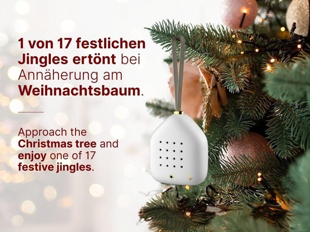 kumquat zimmerpflanze Großen Kumquatbaum kaufen – Green Me Up main image 0