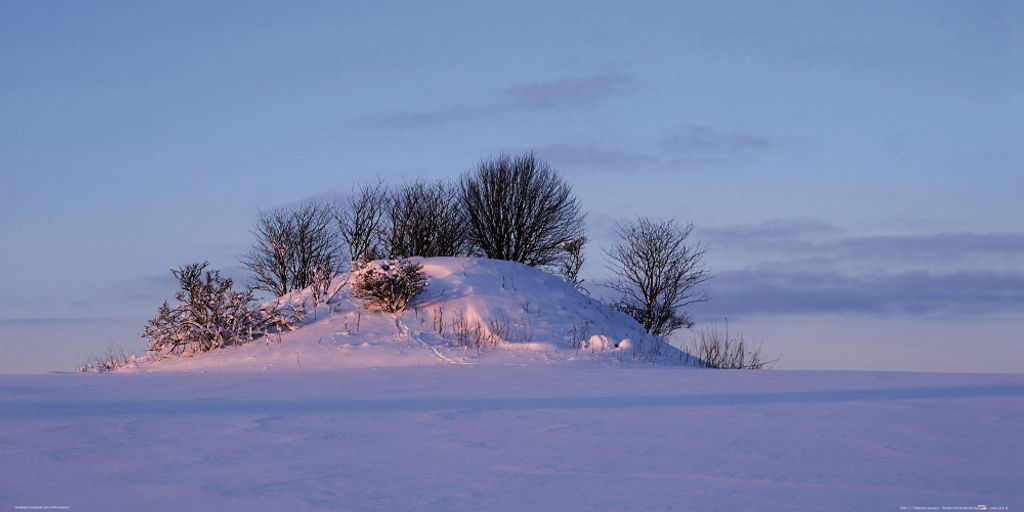 Winter Kunstdruck Bild - Scheelandschaft In Schimmerndem Winterlicht (40 x 80 cm)