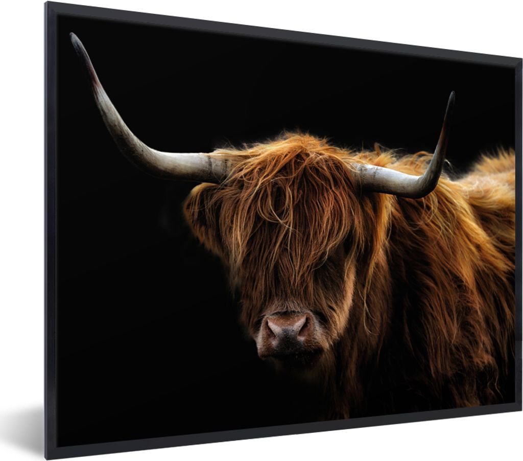 MuchoWow Gerahmtes Poster Schottischer Highlander - Hörner - Schwarz - Tiere - Natur - Wild - Kuh 40x30 cm - Poster mit Schwarzem Bilderrahmen W...