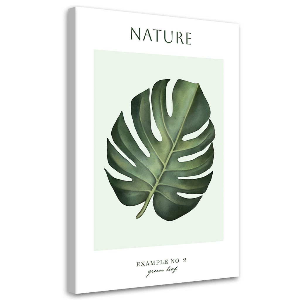 Leinwandbild Grünes Blatt – Natur 60x90 Feeby Grün bild für die wand bereit zum aufhängen