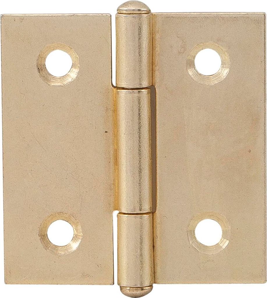 Knopfscharnier leichte Ausführung Scharnier 50 x 50 x 1 mm Stahl vermessingt