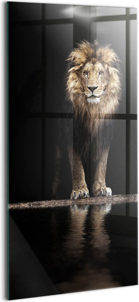 Designer Glasbild - Wandbild - Glas Bild - 50x100 cm - Einsamer Wilder Tierlöwe