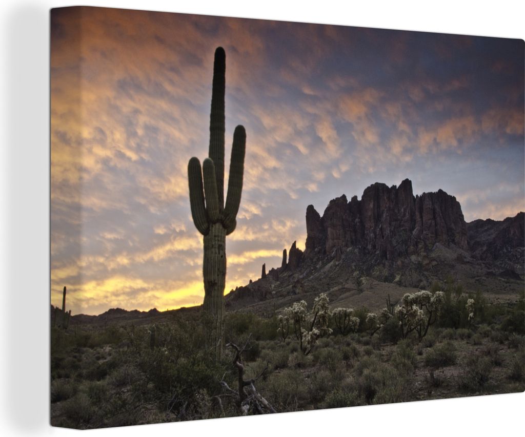 OneMillionCanvasses - Leinwandbilder - 140x90 cm, Kaktus in der Wüste vor dem Tafelberg, Wandbilder Kunstdruck Wanddekoration