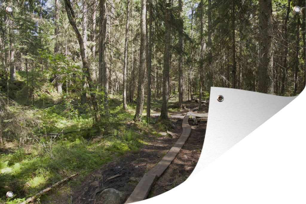 MuchoWow 90x60 cm Outdoor-Poster Gartendeko Sichtschutz Garten Poster für den Garten Ein hölzerner Wanderweg durch die unberührte Natur des N...