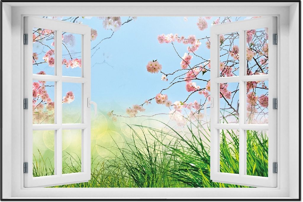 Wallario Wandbild mit Fenster-Illusion: Kirschblütenzweige und grüne Wiese- Frühling, Größe: 61 x 91,5 cm, Poster mit schwarzem Aluminiumrahmen