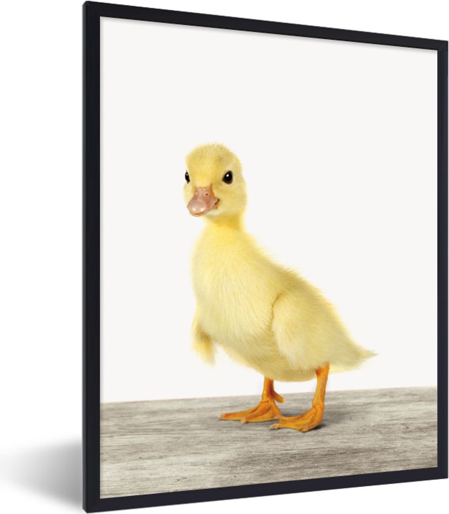 MuchoWow Gerahmtes Poster Ente - Küken - Tiere - Süß - Mädchen - Jungen - Kinder 60x80 cm - Poster mit Schwarzem Bilderrahmen Wandposter Rahm...