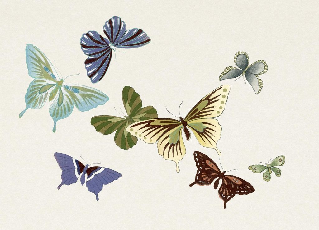 Plakat 18x13cm Schmetterling 10, Japanisches Vintage Sekka für das Wohnzimmer