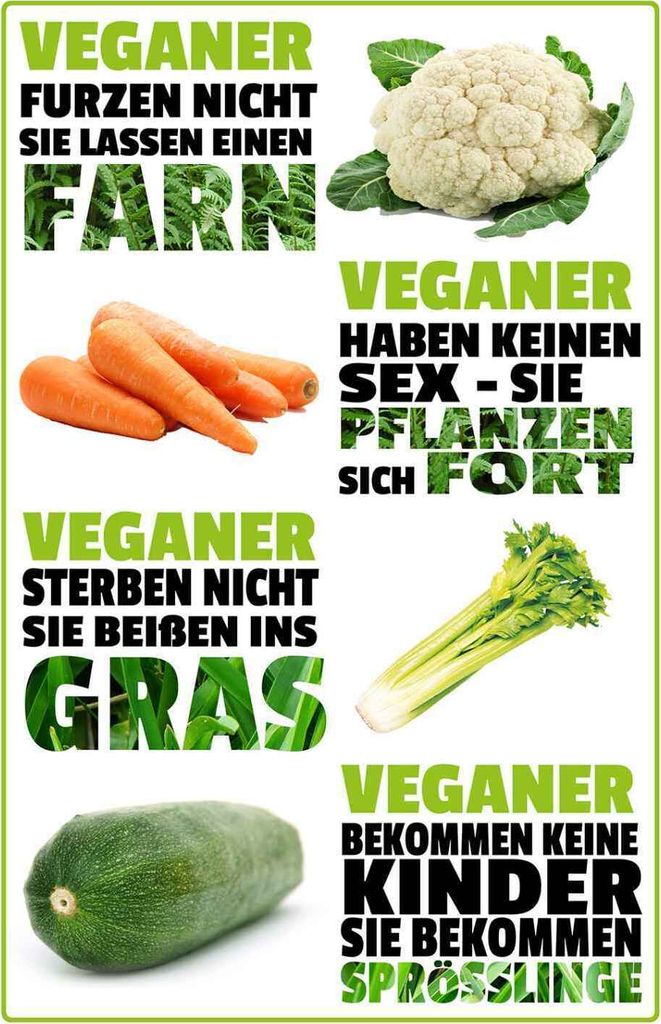 vianmo Holzschild 18x12 cm Veganer furzen nicht sterben Dekoration