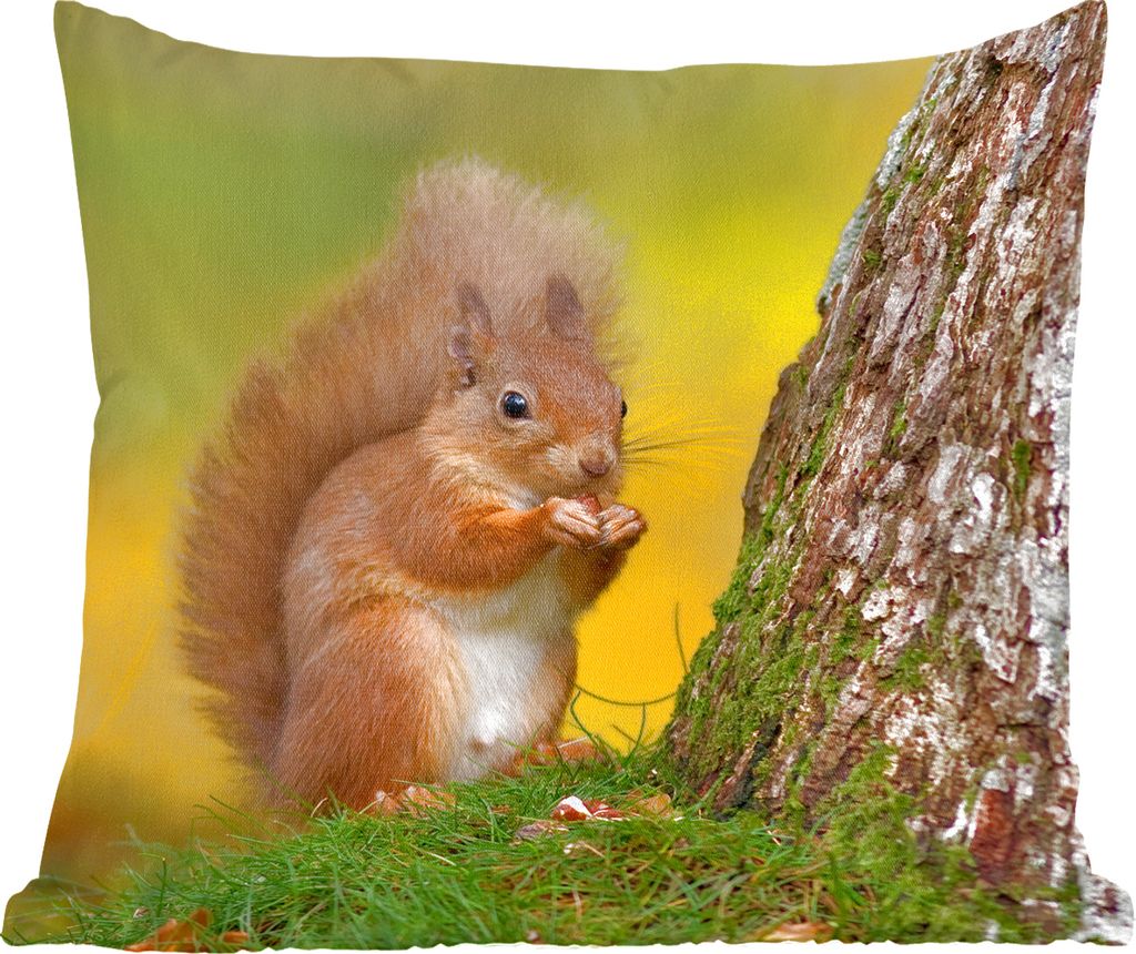 MuchoWow Zierkissen Sofakissen Wohnzimmer Dekokissen 60x60 cm Rotes Eichhörnchen neben dem Baum - Sitzfläche - Foto Polster
