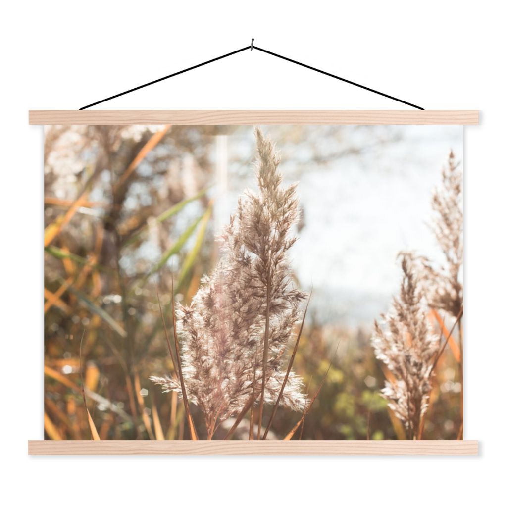 MuchoWow Textilposter Schilf - Sonne - Pflanze 120x90 cm mit holzfarbenen Rahmen - Magnetisch