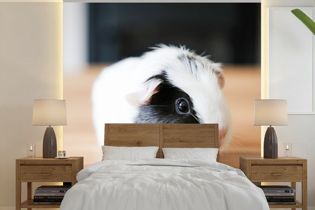 MuchoWow Fototapete für Wohnzimmer oder Schlafzimmer Wandtapete Vinyl Motivtapete Nahaufnahme eines gefleckten Meerschweinchenbabys - 350x350 cm...