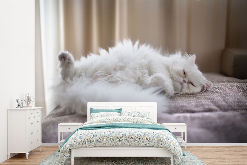 MuchoWow Fototapete für Wohnzimmer oder Schlafzimmer Wandtapete Vinyl Motivtapete Weiße Perserkatze auf dem Rücken liegend - 600x400 cm - Viny...