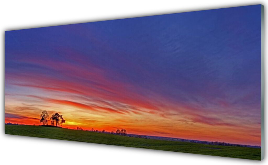 Küchenrückwand aus Glas 125x50cm Spritzschutz Landschaft Feld Bäume Natur