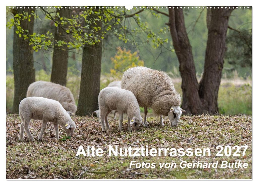 Alte Nutztierrassen 2027 (Wandkalender 2027 DIN A2 quer), CALVENDO Monatskalender