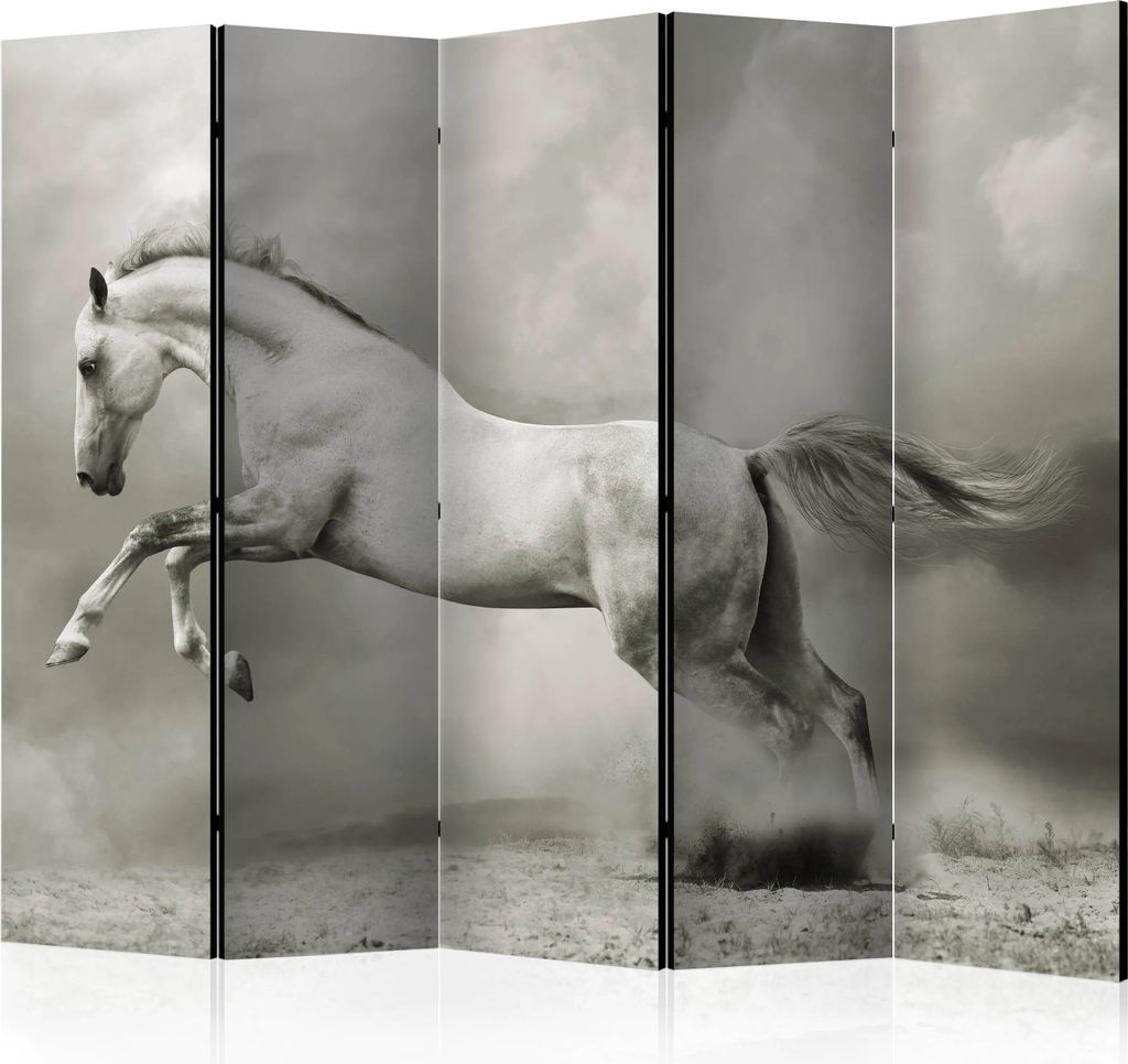 5-teiliger Doppelseitiger Vlies Paravent - Wild Stallion II 225x172 cm Tiere g-C-0214-z-c