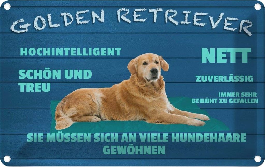 vianmo Blechschild 20x30 cm Golden Retriever Hund nett treu Tier Haustier