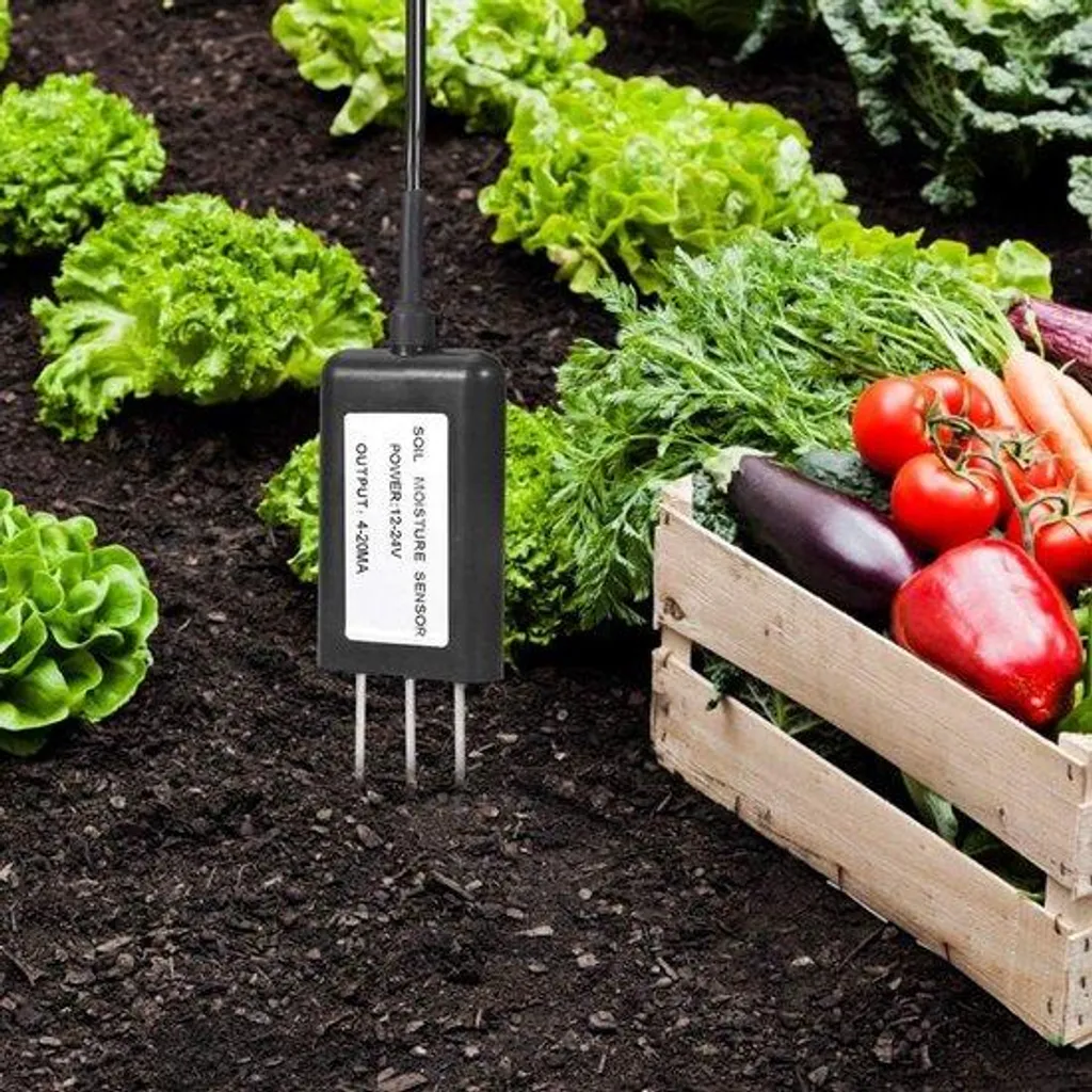 Sonde humidité et température du sol 2-en-1 avec sortie 4-20 mA fiable