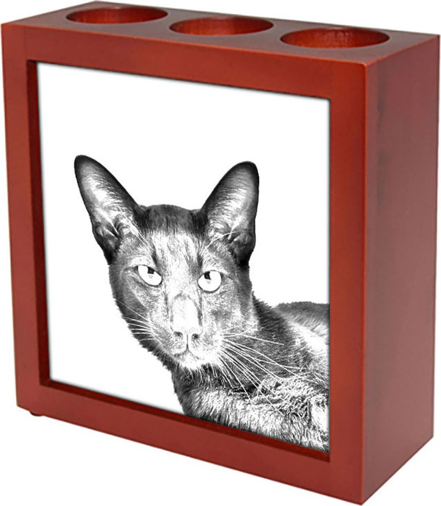 Havanna braun Katze - Stifthalter mit Katze, Schreibtischorganizer mit Aufdruck, personalisierte Schreibtischdekoration von der Marke Art-Dog