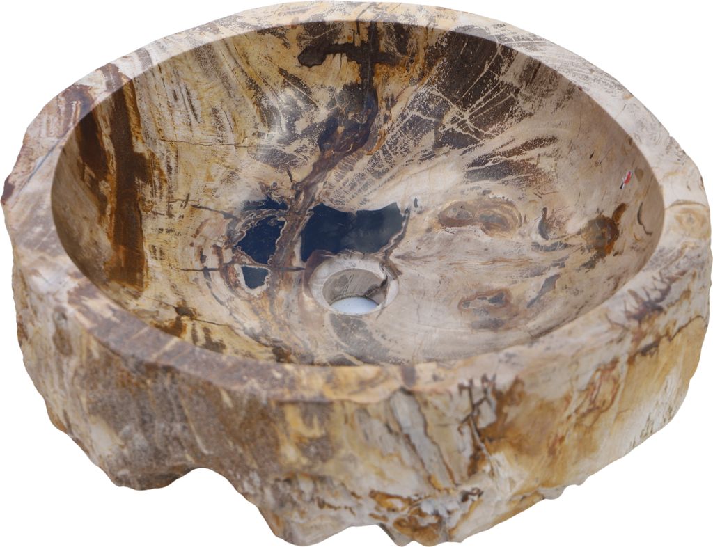 Massives Fossiles Holz Aufsatz-Waschbecken, Waschschale, Naturstein Handwaschbecken - Modell 14, Creme-weiß, FossilesHolz, 15*47*42 cm, Waschtisch...