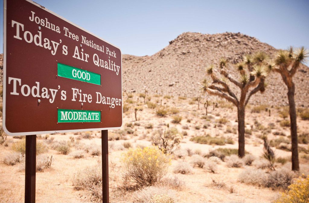 hansepuzzle 19662 - Joshua Tree National Park Puzzle, 500 Teile, Natur, 46,0 x 30,0cm mit hochwertiger Aufbewahrung, Kartonbox & Beutel