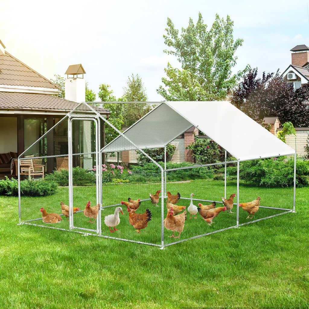 Ikodm Pollaio 3x4x2 m con traversi, pollaio, recinto per il Immagine del prodotto 