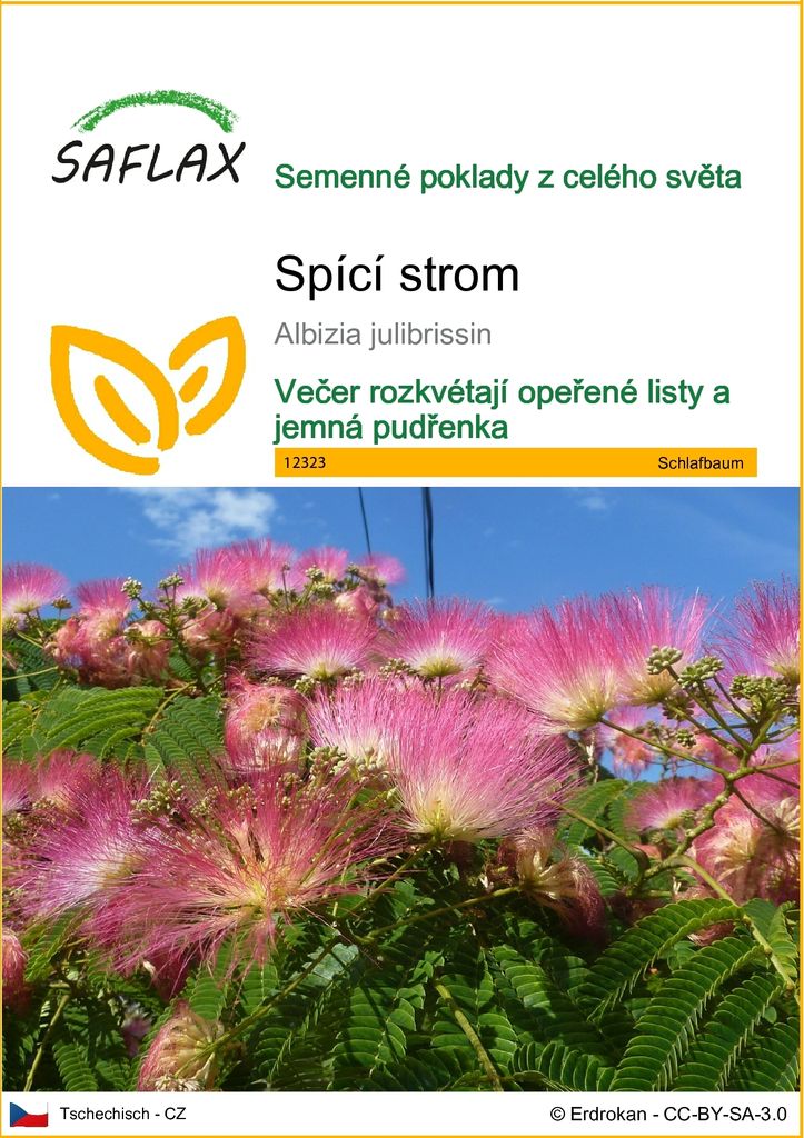 SAFLAX - spící strom - Albizia julibrissin - 50 Semena Obrázek produktu 