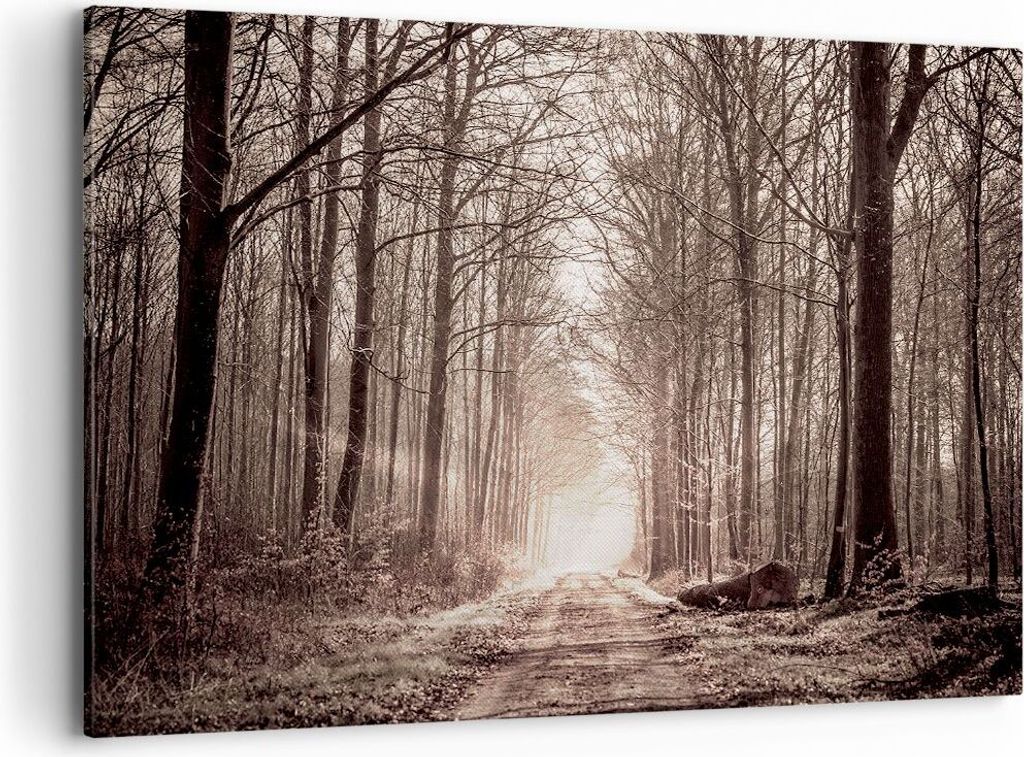 Bild auf Leinwand - Leinwandbild - Wald Straße Baum - 120x80cm - Wand Bild - Wanddeko - Wandbilder - Leinwanddruck - Bilder - Kunstdruck - Wanddek...