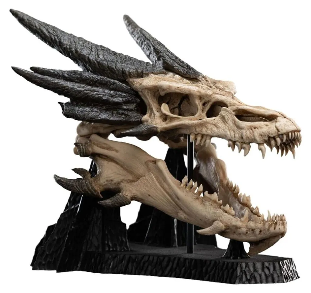 Crâne de Smaug 22 cm : L'Artéfact de Collection Durable et Détallé