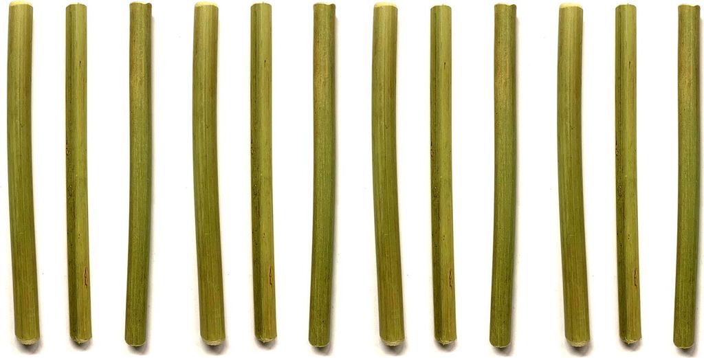 12tlg. Bambus Strohhalm Set | Wiederverwendbare Trinkhalme | Umweltfreundliche Trinkröhrchen Cocktailhalm