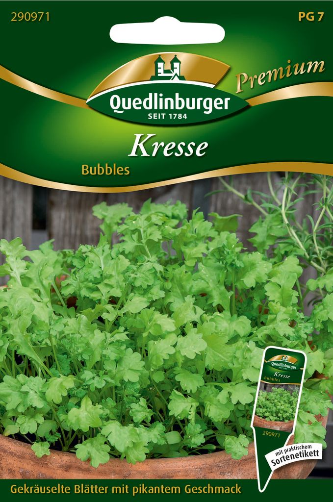 Quedlinburger Saatgut - Kresse Bubbles - Samen - 290971