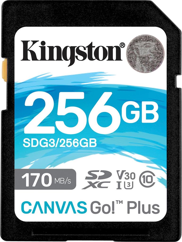 Kingston Canvas Go  Plus - Carte mémoire flash - 256 Go - Image du produit 